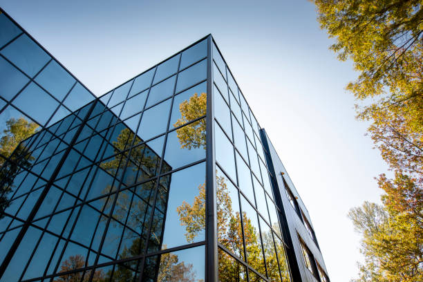 payroll management outsourcing services