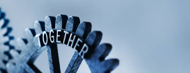 sop development services