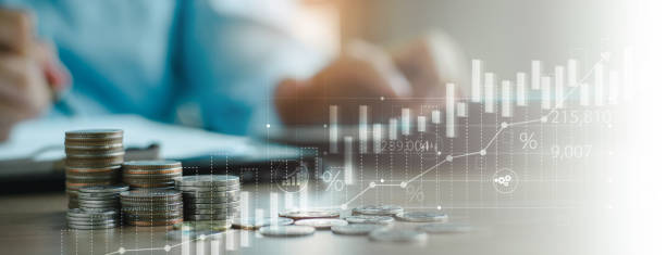 financial modelling services