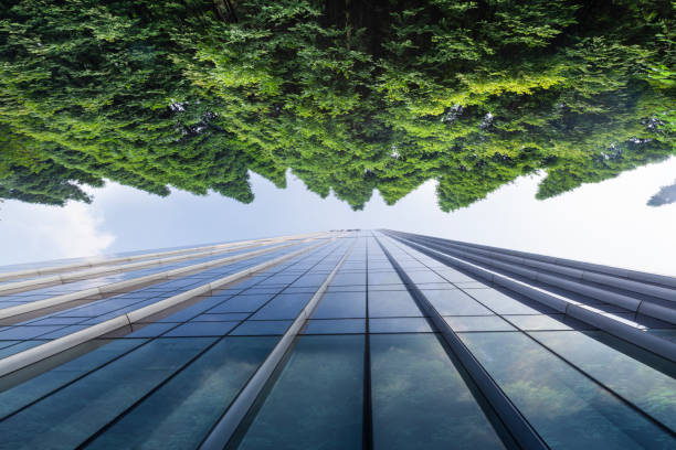 financial modelling services