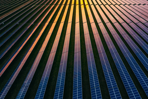 Divestiture Advisory Services