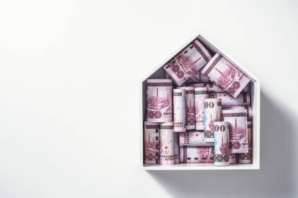 Feasibility Study Analysis Services