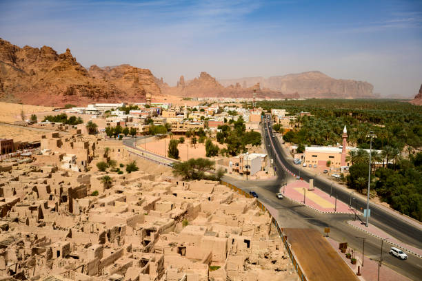 Divestiture Advisory Services