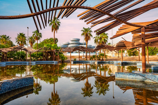 Due Diligence Services