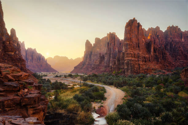 Feasibility Study Analysis Services