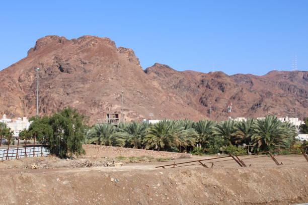 financial modelling services