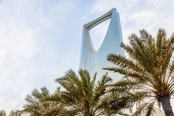 Due Diligence Services