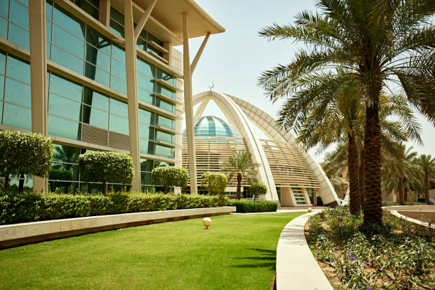 financial modelling services