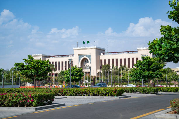 financial modelling services