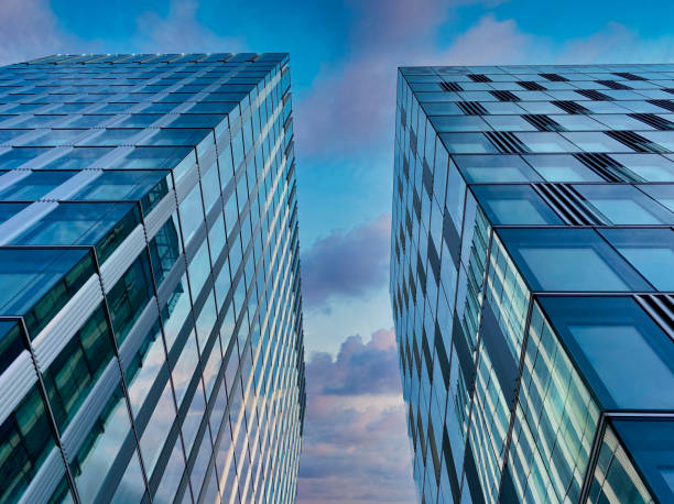 Due Diligence Services