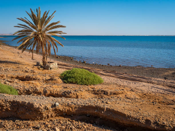 Due Diligence Services