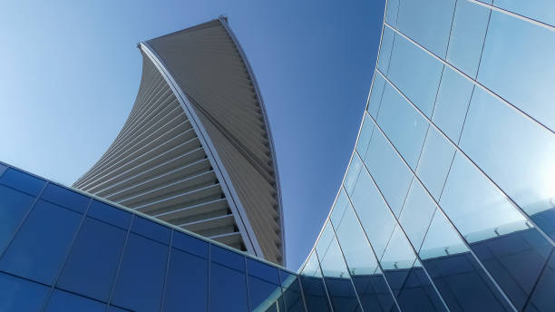 Feasibility Study Analysis Services