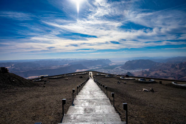 Financial & Risk Advisory