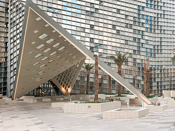 Due Diligence Services