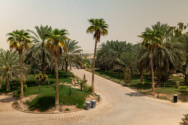 Financial & Risk Advisory