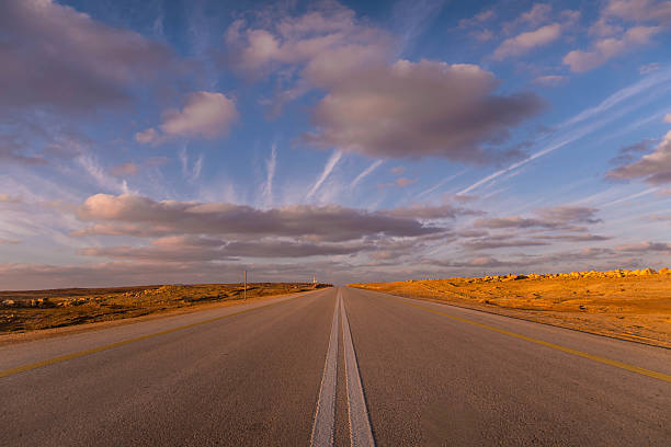 financial modelling services