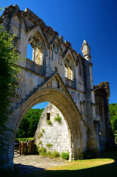 financial modelling services