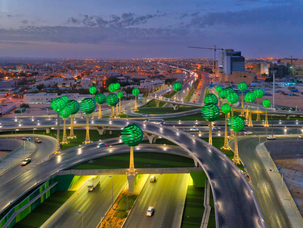 Due Diligence Services