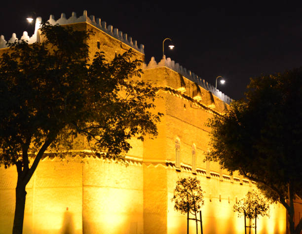 Feasibility Study Analysis Services