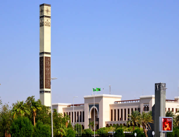 Due Diligence Services