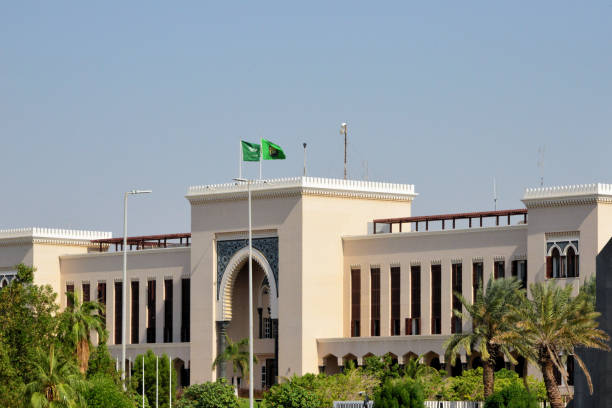 Due Diligence Services