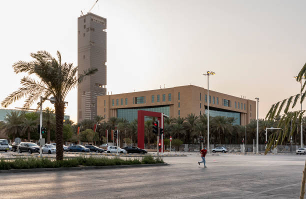 financial modelling services