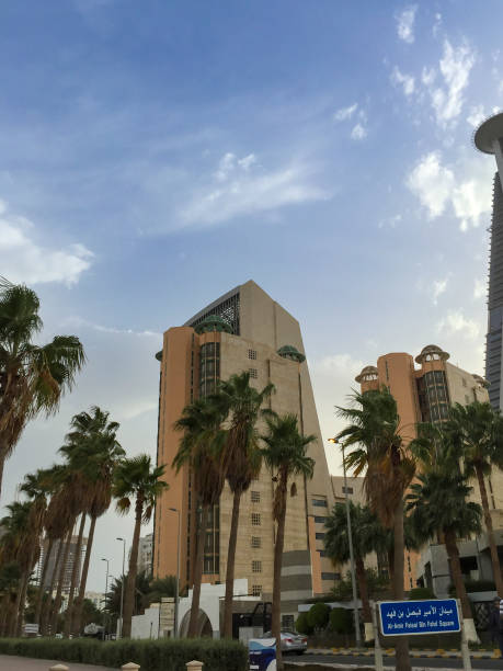 Feasibility Study Analysis Services