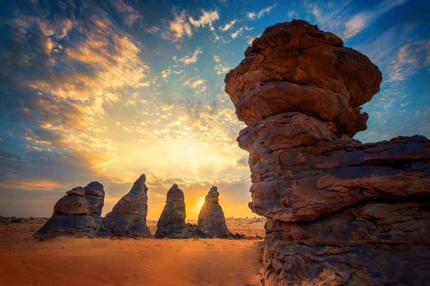 internal audit services