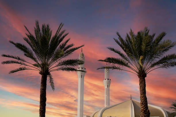 financial modelling services