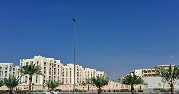 financial modelling services