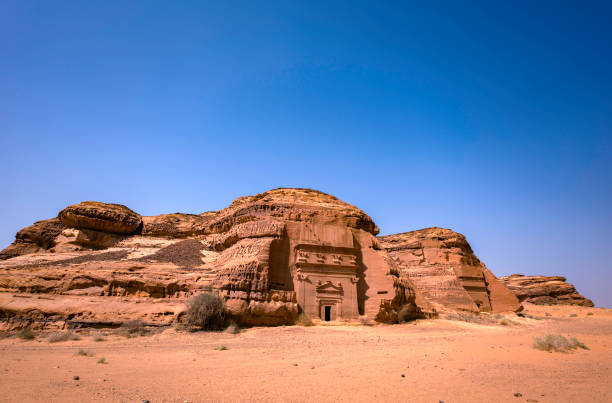 Due Diligence Services