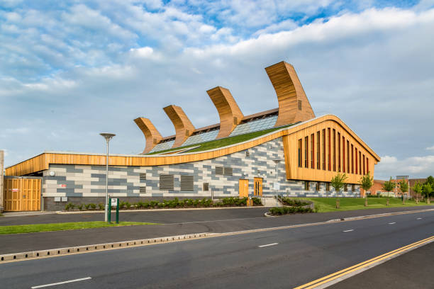 Due Diligence Services