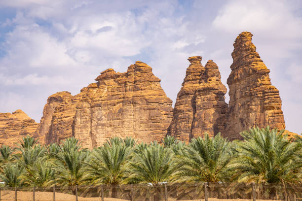 Real estate advisory