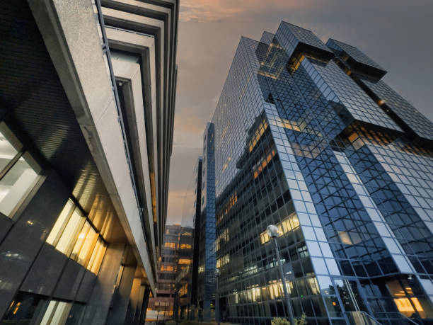 Due Diligence Services