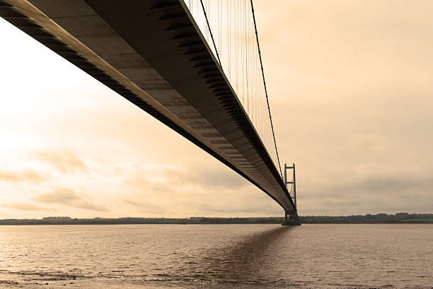 Due Diligence Services