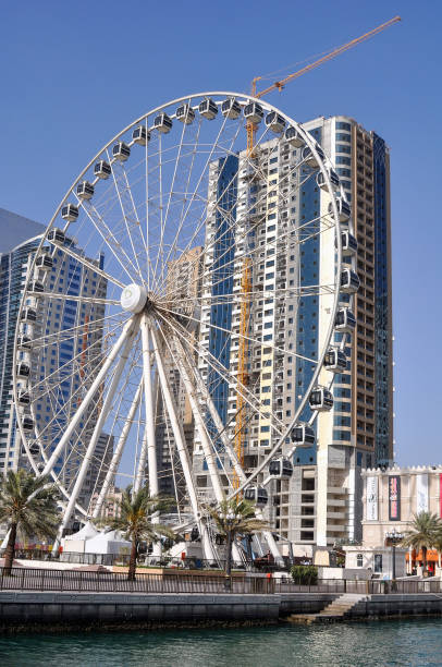 Feasibility study Services