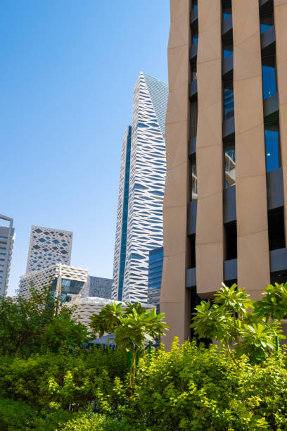 SOP Development Services