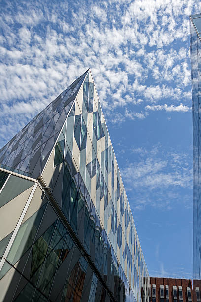 SOP Development Services