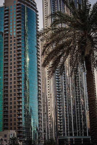 Feasibility Study Services