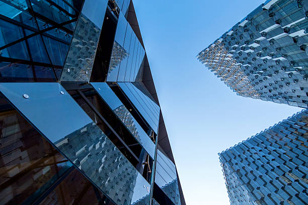 Feasibility Study Services