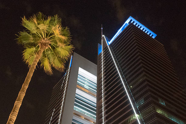 SOP Development Services