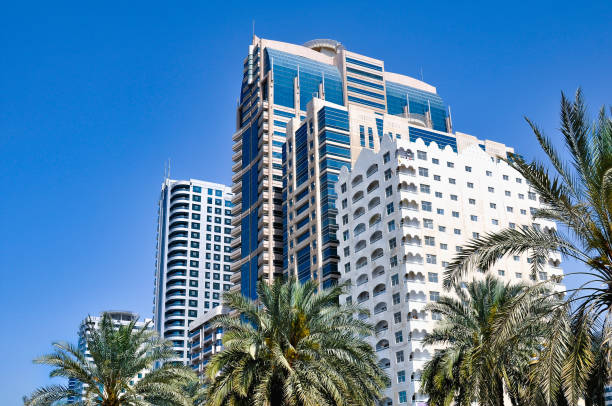 Feasibility Study Services