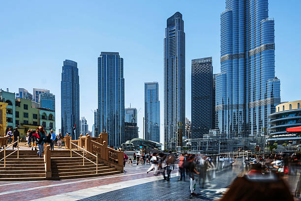 Feasibility Study Services