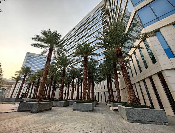 Bookkeeping and Accounting Services