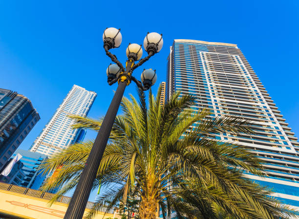 Feasibility Study Services