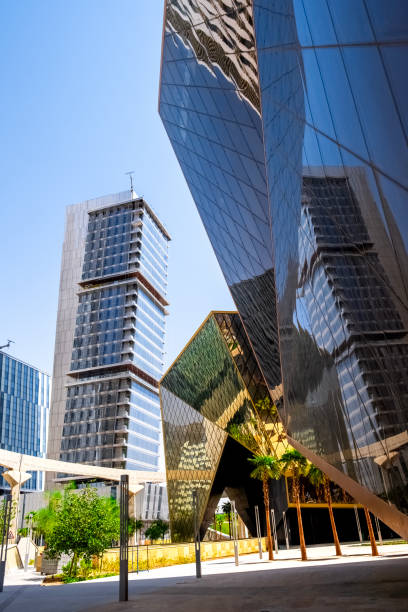 Feasibility Study Services