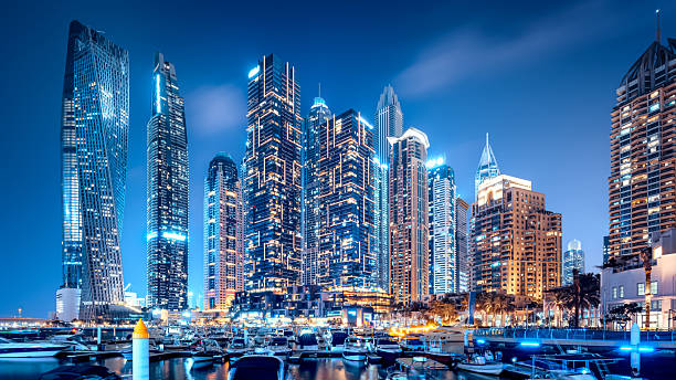 Feasibility Study Services