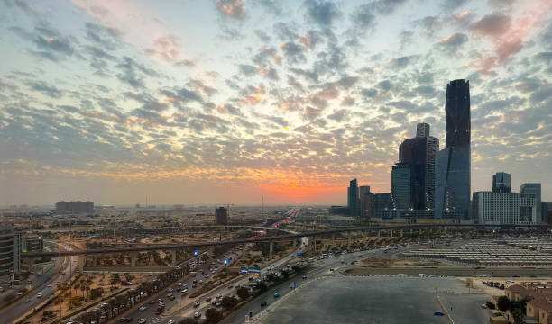 SOP Development Services