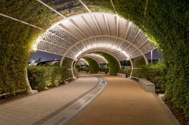 Bookkeeping and Accounting Services