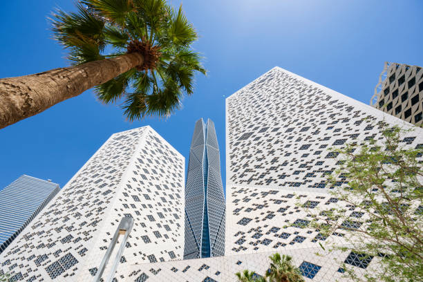 SOP Development Services